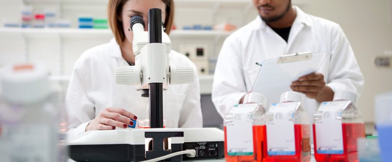 Etudier les mitochondries : une piste prometteuse