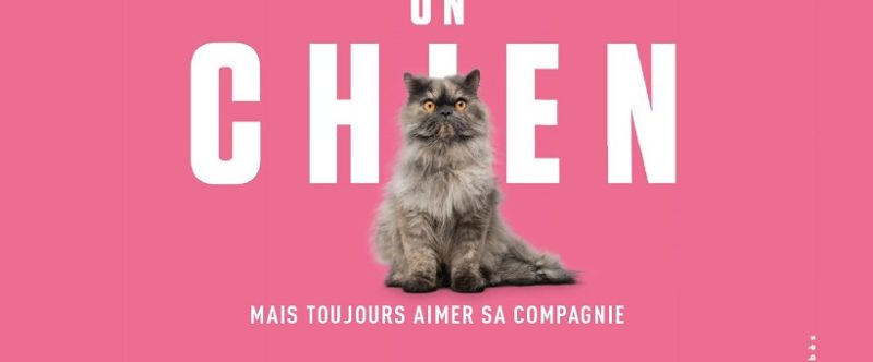 « Appeler ça un chien… »