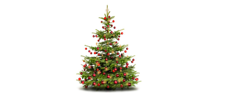 Avec l’Agitateur Floral, votre sapin de Noël sera solidaire !