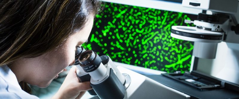 Focus sur l’aducanumab