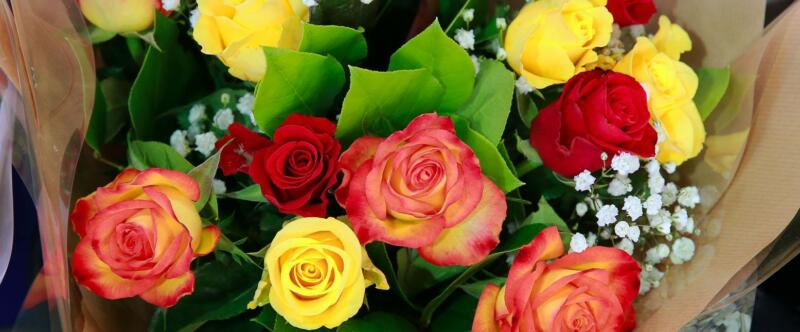 Saint Valentin : Offrez des fleurs avec l&rsquo;agitateur !