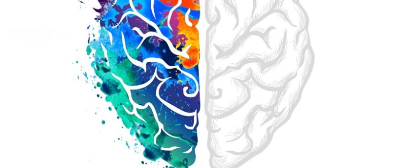 Une boîte à outils pour protéger son cerveau