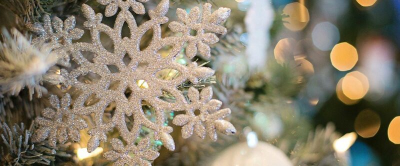 Cette année, offrez-vous un sapin de Noël solidaire !