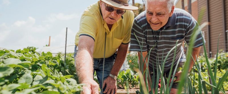 Les jardins continuent de pousser au sein du réseau France Alzheimer