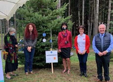 FOIX : Rendez-vous au pied de l&rsquo;Arbre