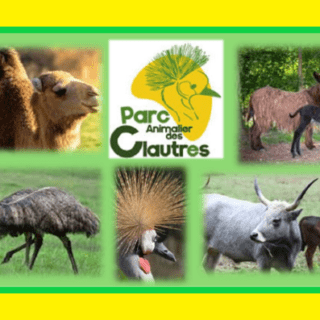 ATELIER MEMOIRE DU 9 JUILLET 2025