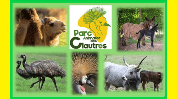 SORTIE CULTURELLE AU PARC ANIMALIER DES CLAUTRES