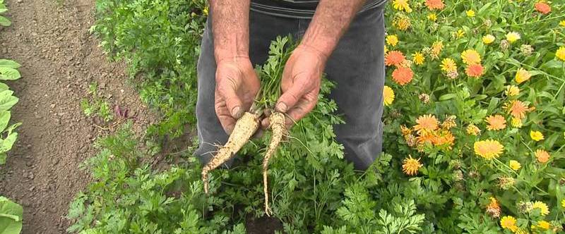 Atelier jardins adaptés