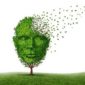 La Maladie d'Alzheimer, vos questions, nos réponses